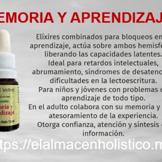 ELIXIR COMBINADO MEMORIA Y APRENDIZAJE 13 ml