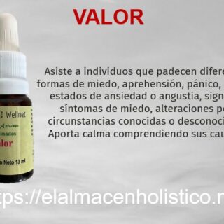 ELIXIR COMBINADO VALOR 13 ml