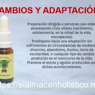 ELIXIR COMBINADO CAMBIOS Y ADAPTACION 20 ml – 10677
