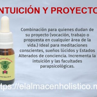 ELIXIR COMBINADO INTUICION Y PROYECTO  20 ml
