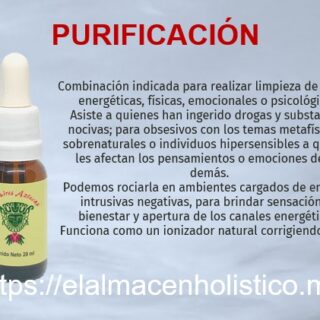 ELIXIR COMBINADO PURIFICACION 20 ml
