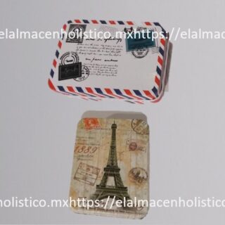 ESTUCHE CON DISEÑO PARA MATERIAL DE AURICULOTERAPIA - 70163